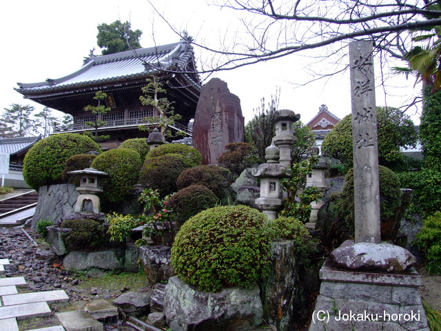 三河 安祥城の写真