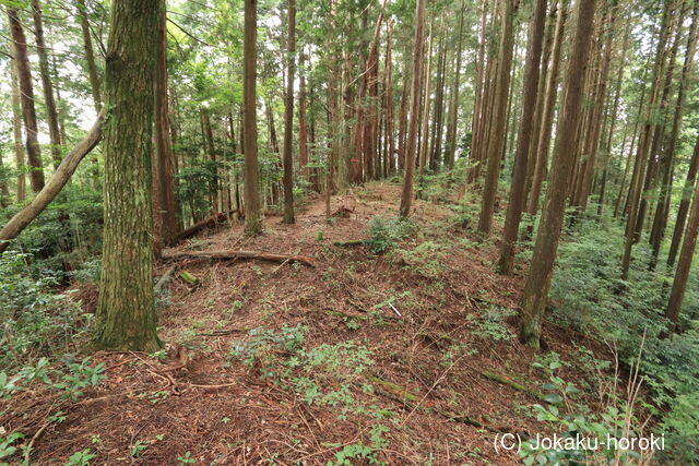 三河 芦ノ入城の写真