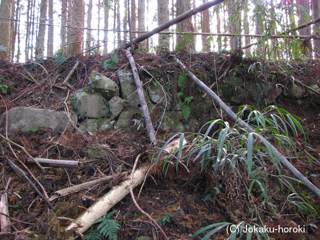 三河 城山城の写真