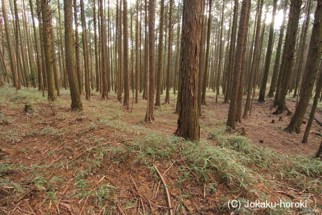 三河 馬呂遺構の写真