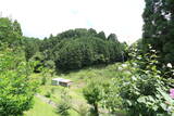 三河 千ノ田城の写真