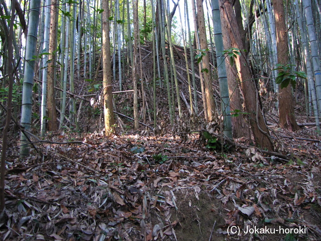 三河 大観音城の写真