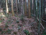 三河 大観音城の写真