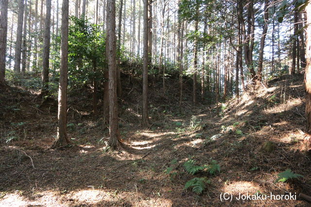 三河 代官屋敷城の写真