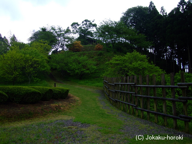 三河 田峯城の写真