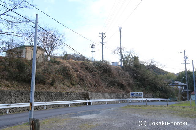 三河 藤沢館の写真