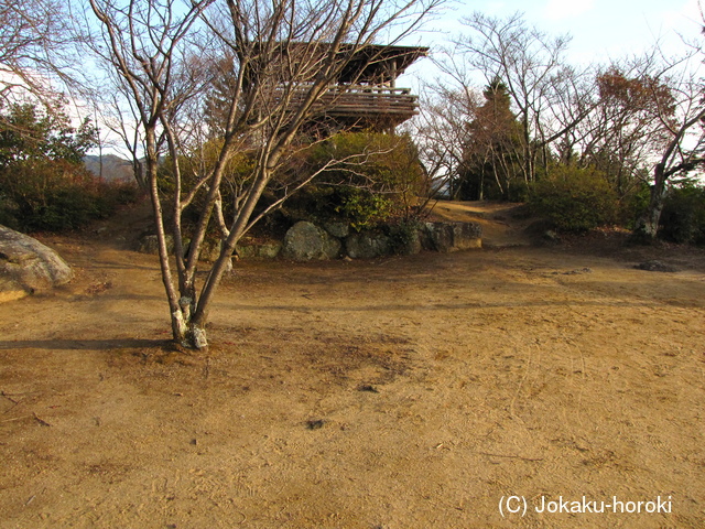 三河 梟ヶ城の写真