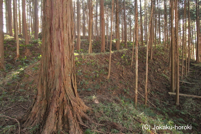 三河 古宮城の写真