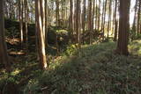 三河 古宮城の写真