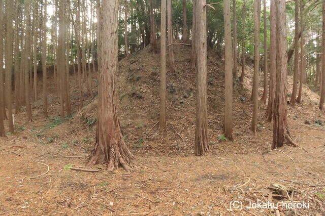 三河 岩略寺城の写真