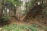 三河 岩略寺城の写真