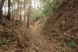 三河 岩略寺城の写真