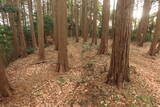 三河 岩略寺城の写真