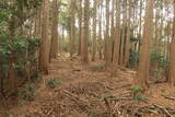 三河 岩略寺城の写真