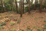 三河 岩略寺城の写真