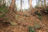 三河 岩略寺城の写真