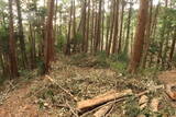三河 岩略寺城の写真
