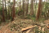 三河 岩略寺城の写真