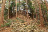 三河 岩略寺城の写真