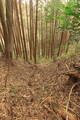 三河 岩略寺城の写真