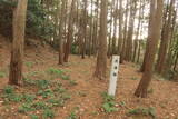 三河 岩略寺城の写真