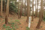 三河 岩略寺城の写真