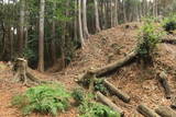 三河 岩略寺城の写真