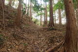 三河 岩略寺城の写真