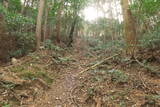 三河 岩略寺城の写真