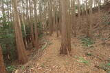 三河 岩略寺城の写真