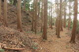 三河 岩略寺城の写真