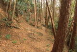 三河 岩略寺城の写真