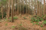 三河 岩略寺城の写真