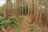 三河 岩略寺城の写真