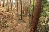 三河 岩略寺城の写真