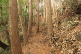 三河 岩略寺城の写真