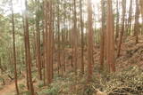 三河 岩略寺城の写真