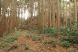 三河 岩略寺城の写真