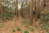 三河 岩略寺城の写真