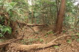 三河 岩略寺城の写真