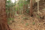 三河 岩略寺城の写真