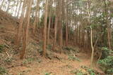 三河 岩略寺城の写真