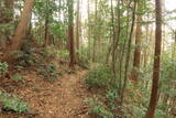 三河 岩略寺城の写真