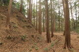 三河 岩略寺城の写真