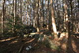 三河 羽布城の写真