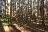 三河 羽布城の写真