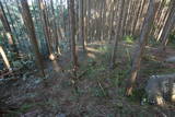 三河 羽布城の写真