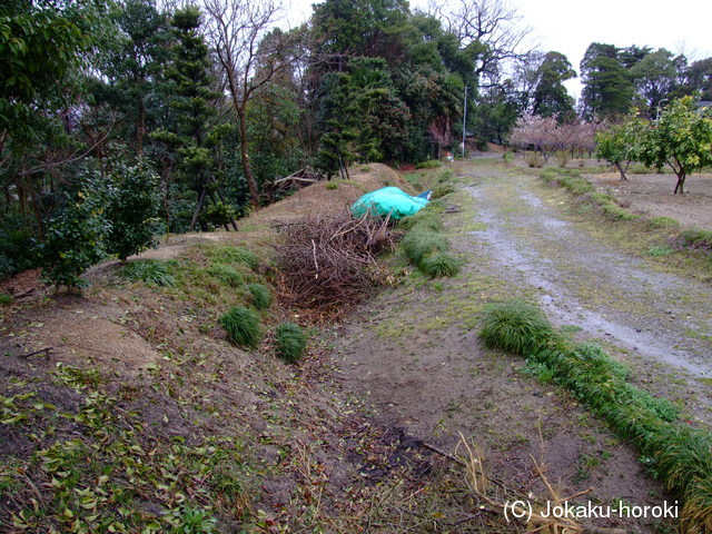 三河 東端城の写真