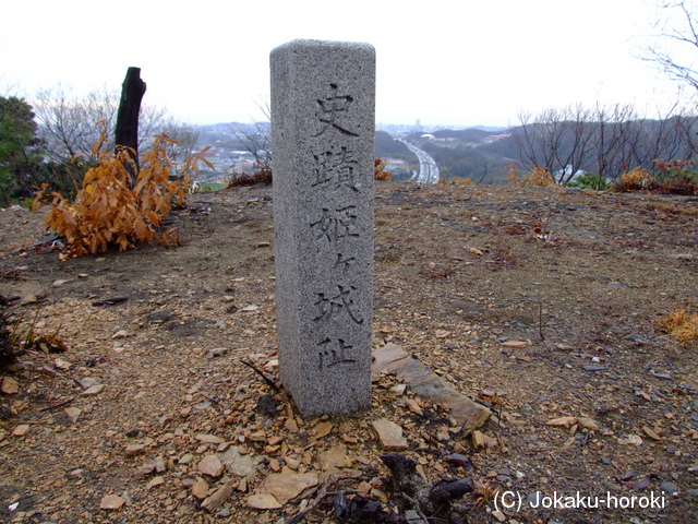 三河 保母姫ヶ城の写真