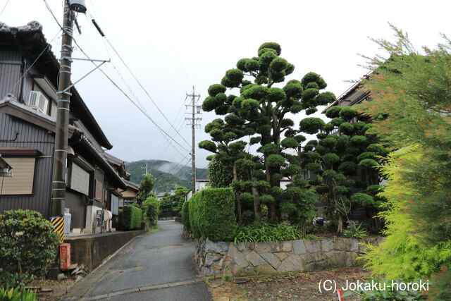 三河 拾石陣屋Bの写真